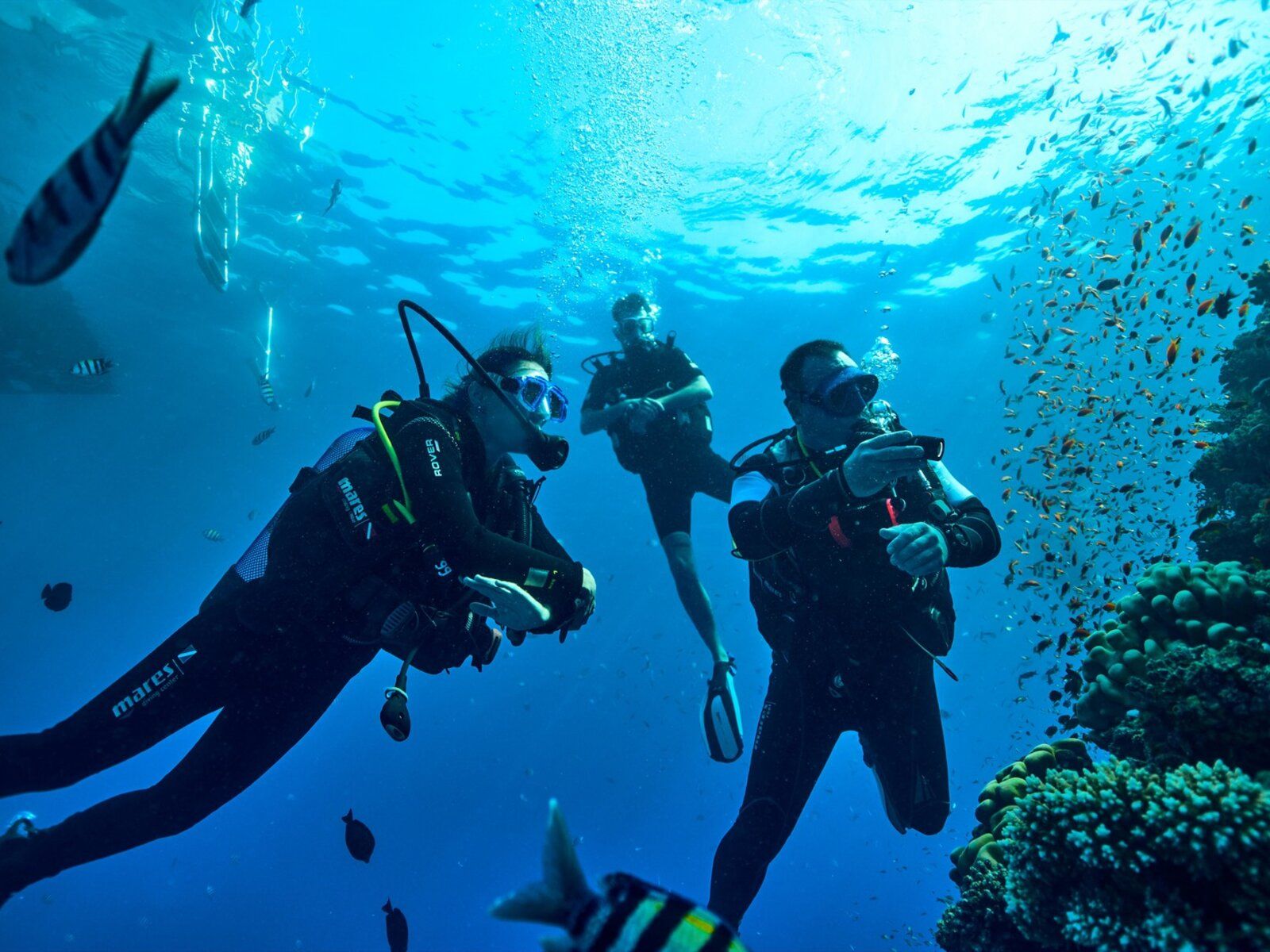 Robinson Soma Bay 3